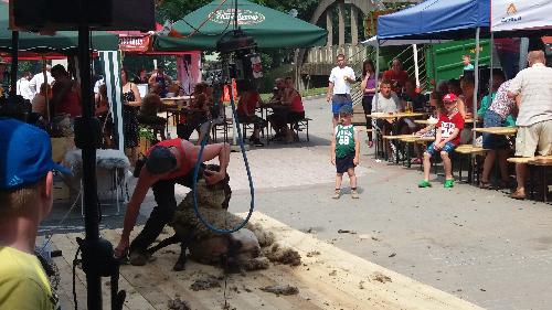 Ov��ck� slavnosti