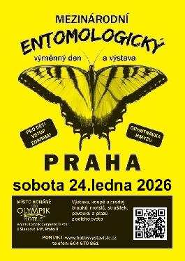 Prodejn� v�stava brouk�, mot�l� a ostatn�ho hmyzu, - www.webtrziste.cz