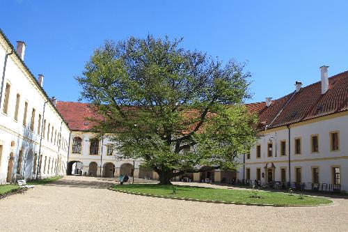 HISTORICK� TRH M�JOV�