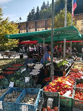 Kulin��sk� den Sv. V�clava v Jansk�ch L�zn�ch - www.webtrziste.cz