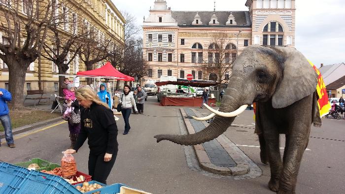 Sout�n� fotografie