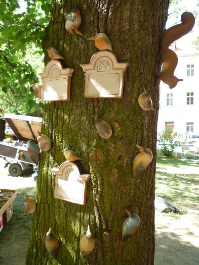 Sout�n� fotografie