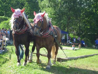 Sout�n� fotografie