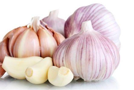 Omlouv�me se, ale obrazek nebyl dod�n