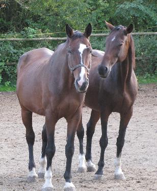 Omlouv�me se, ale obrazek nebyl dod�n