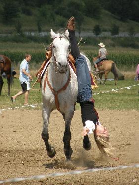 Omlouv�me se, ale obrazek nebyl dod�n