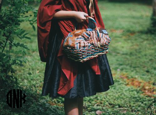 Omlouv�me se, ale obrazek nebyl dod�n