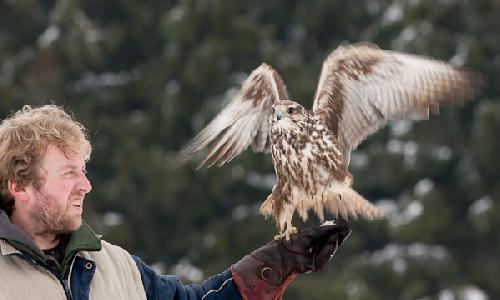 Omlouv�me se, ale obrazek nebyl dod�n